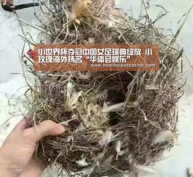 华体会下载