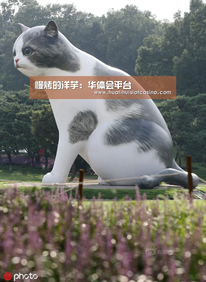 慢烤的洋芋:华体会平台(图1) 华体会电竞