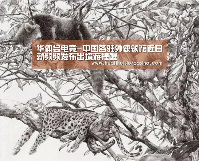 华体会电竞-中国各驻外使领馆近日就频频发布出境游提醒(图4) 华体会娱乐